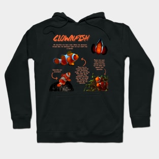 Clownfish Fun Facts Hoodie